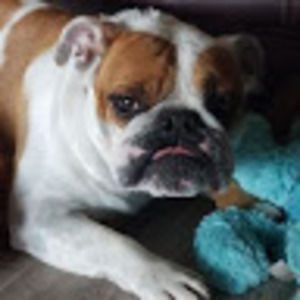 Meet your Posher, (student) brooke